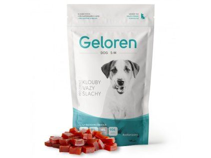 Geloren DOG S-M 180 g (60ks)