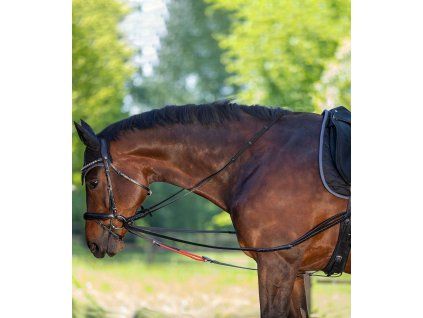 Waldhausen W-trainRein (Velikost PONY, Barva black)