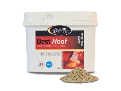 Horse Master Best Hoof
