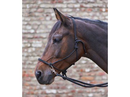 Provazová ohlávka s otěžemi Waldhausen (Velikost PONY, Barva black)