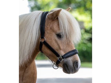 Ohlávka STAR Diamond Waldhausen (Velikost MINISHETTY, Barva yellow)