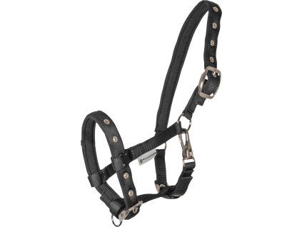 Ohlávka pro hříbata Comfort Waldhausen (Barva black)