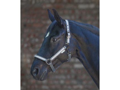 Ohlávka s reflexními pruhy Waldhausen, grey (Velikost PONY, Barva grey)