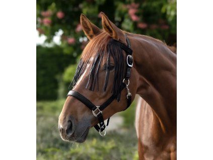 Třásně proti mouchám Waldhausen Salon (Velikost PONY, Barva black)