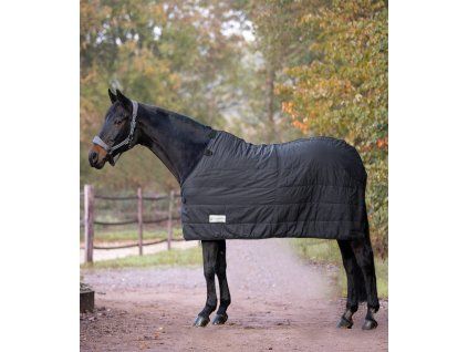 EKONOMICKÁ Termo poddeka, 200 g - k dekám clip in (Velikost 115 cm, Barva black)