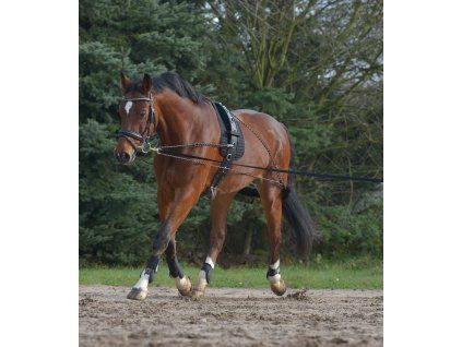 Lonžovací postroj (Velikost PONY-COB, Barva black)