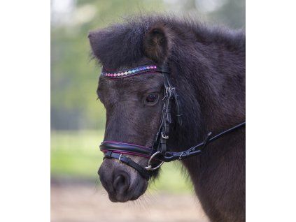 Uzdečka Pinky STAR (Velikost MINISHETTY, Barva black)
