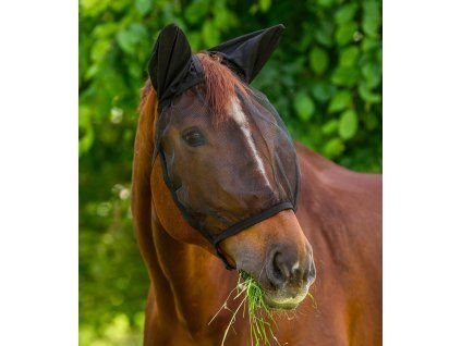 Maska proti hmyzu s ochranou uší Basic Waldhausen (Velikost PONY, Barva black (with ears))