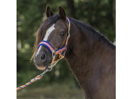 Ohlávka a vodítko pro pony, shetty a minishetty Horka Jolly