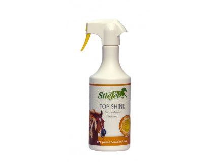 Top shine