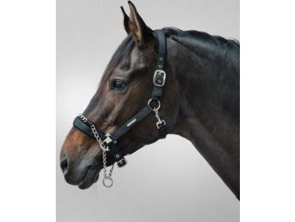 Ohlávka Pro Safety s řetězem Waldhausen (Velikost COB, Barva black)