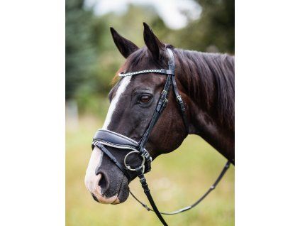 Kožená uzdečka Crystal Dressage