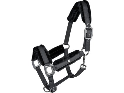 Ohlávka s teddy beránkem Phoenix (Velikost COB, Barva black)