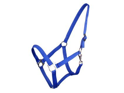 Ohlávka pro koně QHP Slide royal blue
