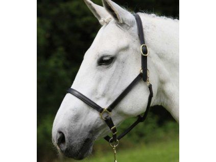 Kožená ohlávka STAR Robust (Velikost PONY, Barva black)