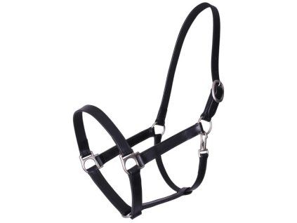 Kožená ohlávka QHP Boaz Pony