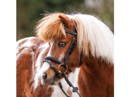 Uzdečka Maja Černá pro shetty a pony