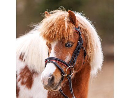 Uzdečka Maja Černá/ růžová pro shetty a pony
