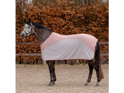 Síťovaná deka proti hmyzu Aeris rosegold/ silver