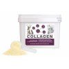 Dromy Collagen 2500g