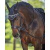 Waldhausen W-trainRein (Velikost PONY, Barva black)