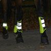 Kamaše zadní Waldhausen, pár (Velikost L, Barva neon yellow)
