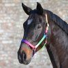 Ohlávka Waldhausen, neon multicolor, cob a full (Velikost COB, Barva neon multicolor)