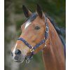 Ohlávka Little horse Waldhausen (Velikost COB, Barva black)