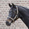 Ohlávka Little horse Waldhausen (Velikost COB, Barva black)