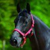 Ohlávka Little horse Waldhausen (Velikost COB, Barva black)