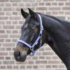 Ohlávka Little horse Waldhausen (Velikost COB, Barva black)