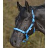 Ohlávka Little horse Waldhausen (Velikost COB, Barva black)