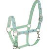 Ohlávka Little horse Waldhausen (Velikost COB, Barva black)