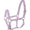 Ohlávka Little horse Waldhausen (Velikost COB, Barva black)