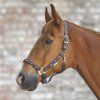 Ohlávka Little horse Waldhausen (Velikost COB, Barva black)