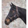 Ohlávka Little horse Waldhausen (Velikost COB, Barva black)
