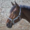 Ohlávka Little horse Waldhausen (Velikost COB, Barva black)