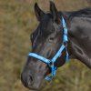 Ohlávka Little horse Waldhausen (Velikost COB, Barva black)