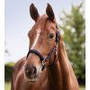Ohlávka Perlon Satin Waldhausen (Velikost PONY, Barva black)