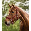 Ohlávka Perlon Satin Waldhausen (Velikost PONY, Barva black)