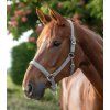 Ohlávka Perlon Satin Waldhausen (Velikost PONY, Barva black)