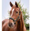 Ohlávka Perlon Satin Waldhausen (Velikost PONY, Barva black)