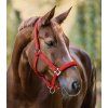 Ohlávka Perlon Satin Waldhausen (Velikost PONY, Barva black)