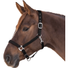 Ohlávka Perlon Satin Waldhausen (Velikost PONY, Barva black)