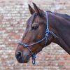Ohlávka provazová Waldhausen (Velikost PONY, Barva black/mint)