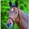 Ohlávka pastevní bez kování Waldhausen (Velikost PONY, Barva black)