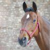 Ohlávka pastevní bez kování Waldhausen (Velikost PONY, Barva black)