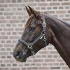 Ohlávka Crystal Waldhausen (Velikost PONY, Barva black)