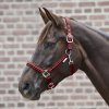 Ohlávka Crystal Waldhausen (Velikost PONY, Barva black)