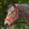 Ohlávka Crystal Waldhausen (Velikost PONY, Barva black)